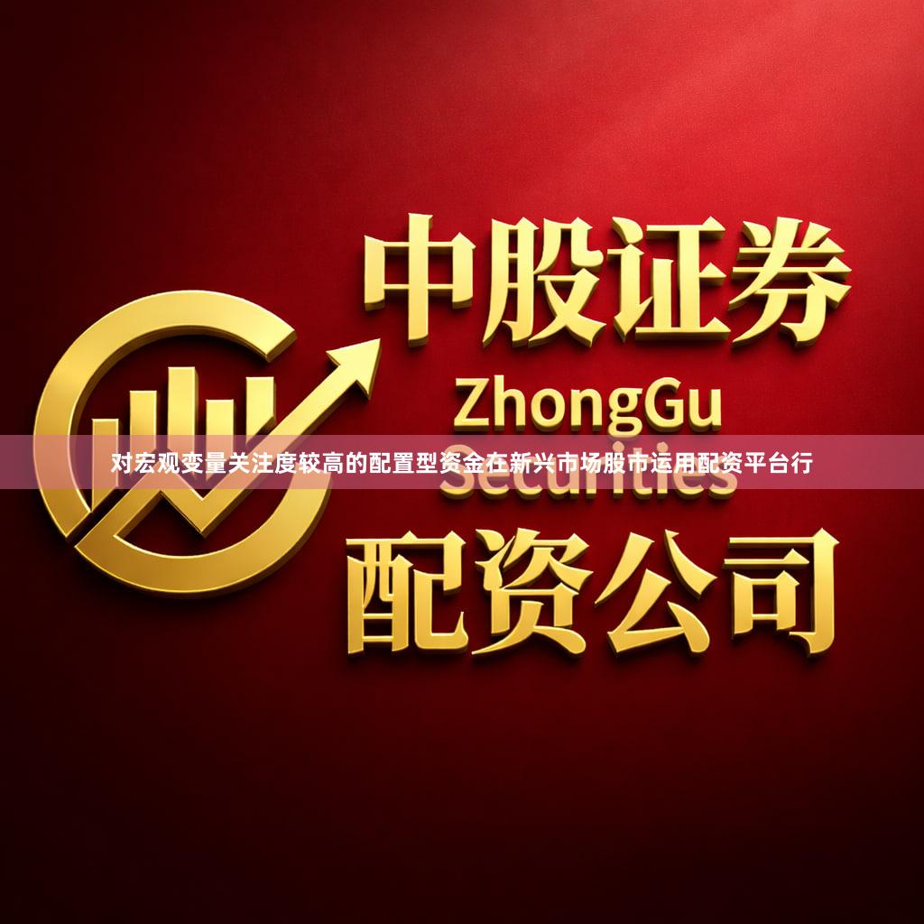 对宏观变量关注度较高的配置型资金在新兴市场股市运用配资平台行