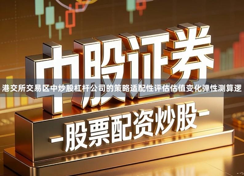 港交所交易区中炒股杠杆公司的策略适配性评估估值变化弹性测算逻