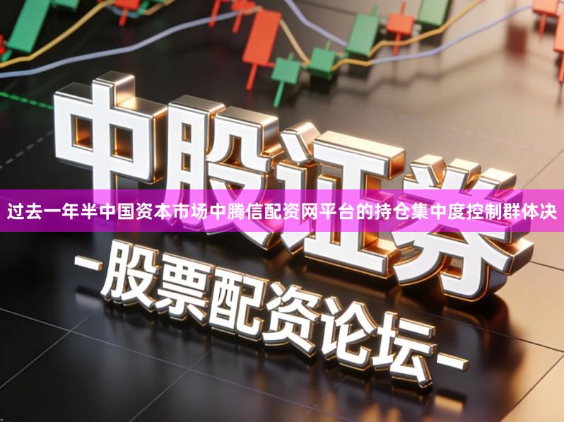 过去一年半中国资本市场中腾信配资网平台的持仓集中度控制群体决