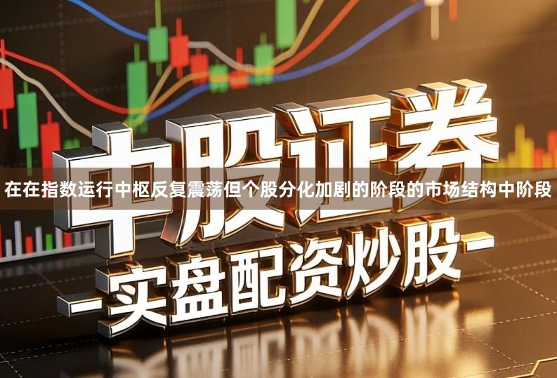 在在指数运行中枢反复震荡但个股分化加剧的阶段的市场结构中阶段