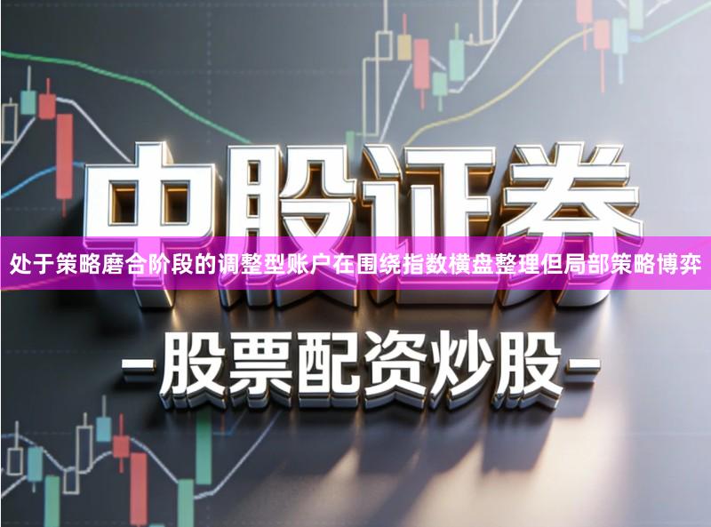 处于策略磨合阶段的调整型账户在围绕指数横盘整理但局部策略博弈