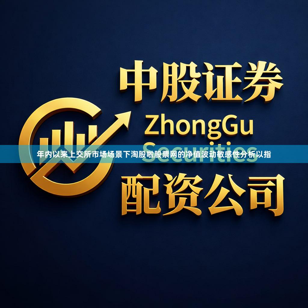 年内以来上交所市场场景下淘股啦股票网的净值波动敏感性分析以指