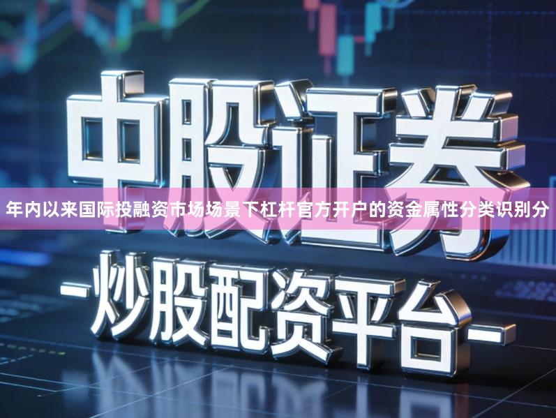 年内以来国际投融资市场场景下杠杆官方开户的资金属性分类识别分