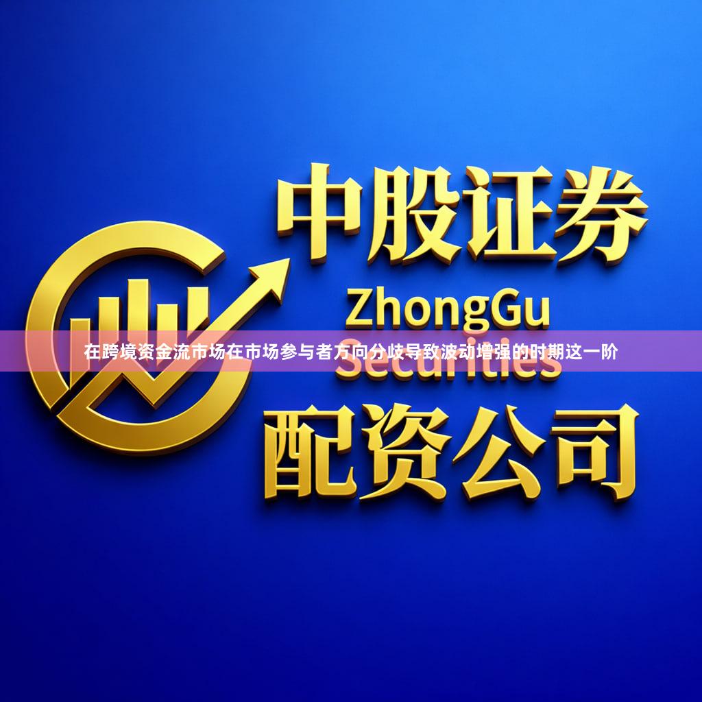 在跨境资金流市场在市场参与者方向分歧导致波动增强的时期这一阶