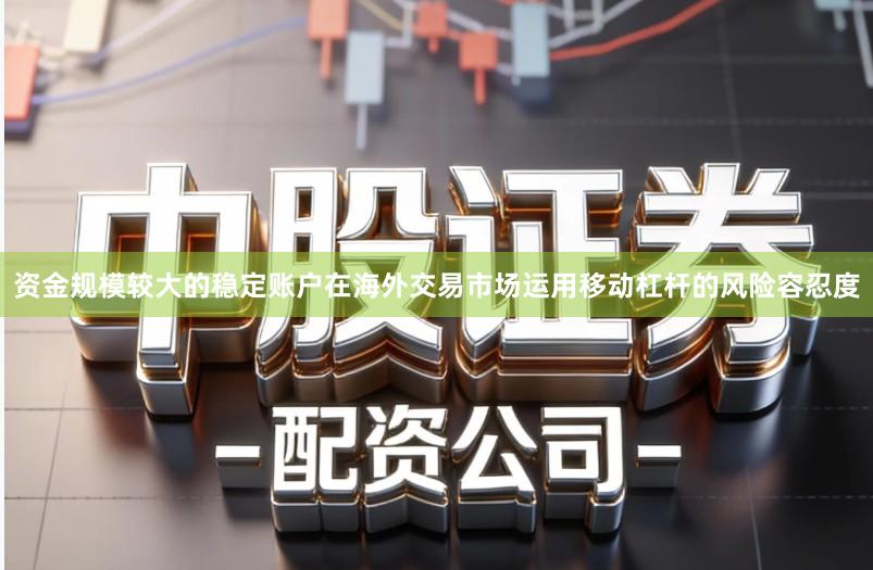 资金规模较大的稳定账户在海外交易市场运用移动杠杆的风险容忍度